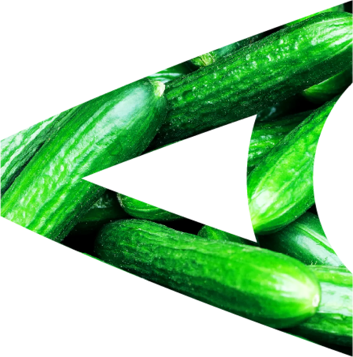 Bigger, Better Harvests