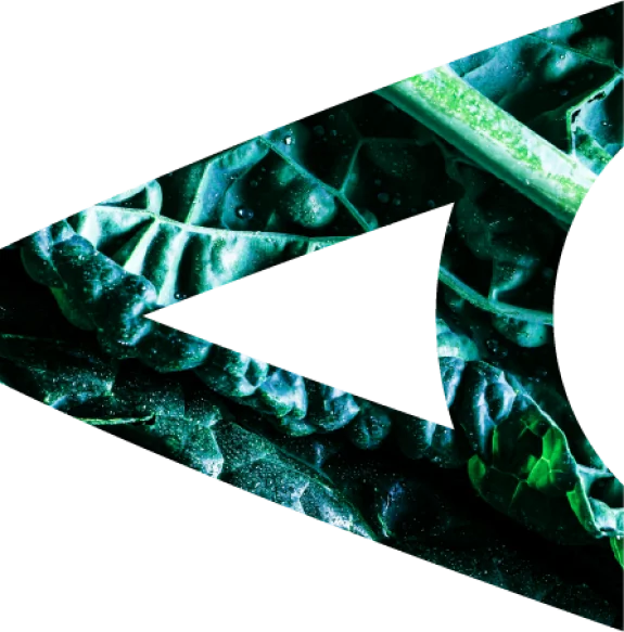 Faster Deliveries, Fresher Produce