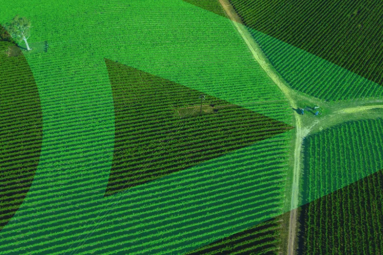 Digital Transformation in Agriculture: People, Process, and Technology